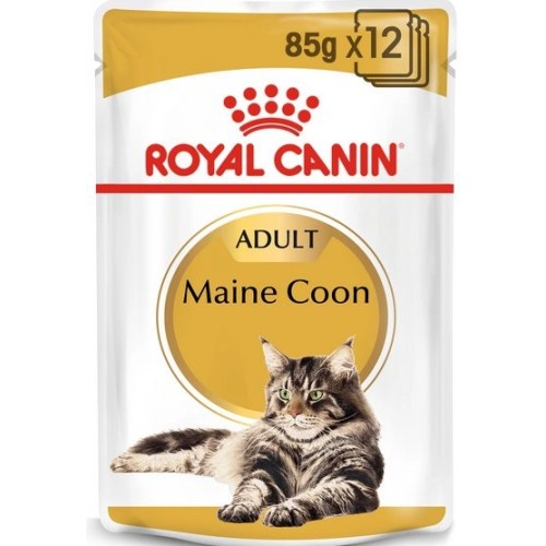 Royal canin fbn maine coon 12x85 g