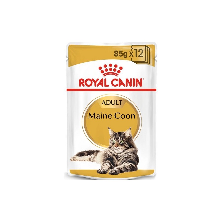 Royal canin fbn maine coon 12x85 g