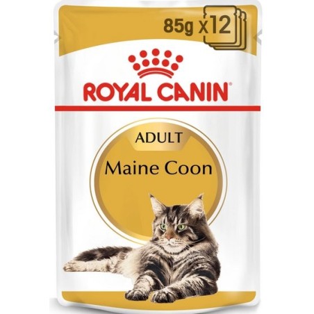 Royal canin fbn maine coon 12x85 g