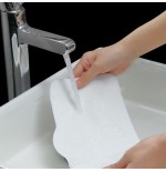 Xiaomi mopa deerma zq610 steam