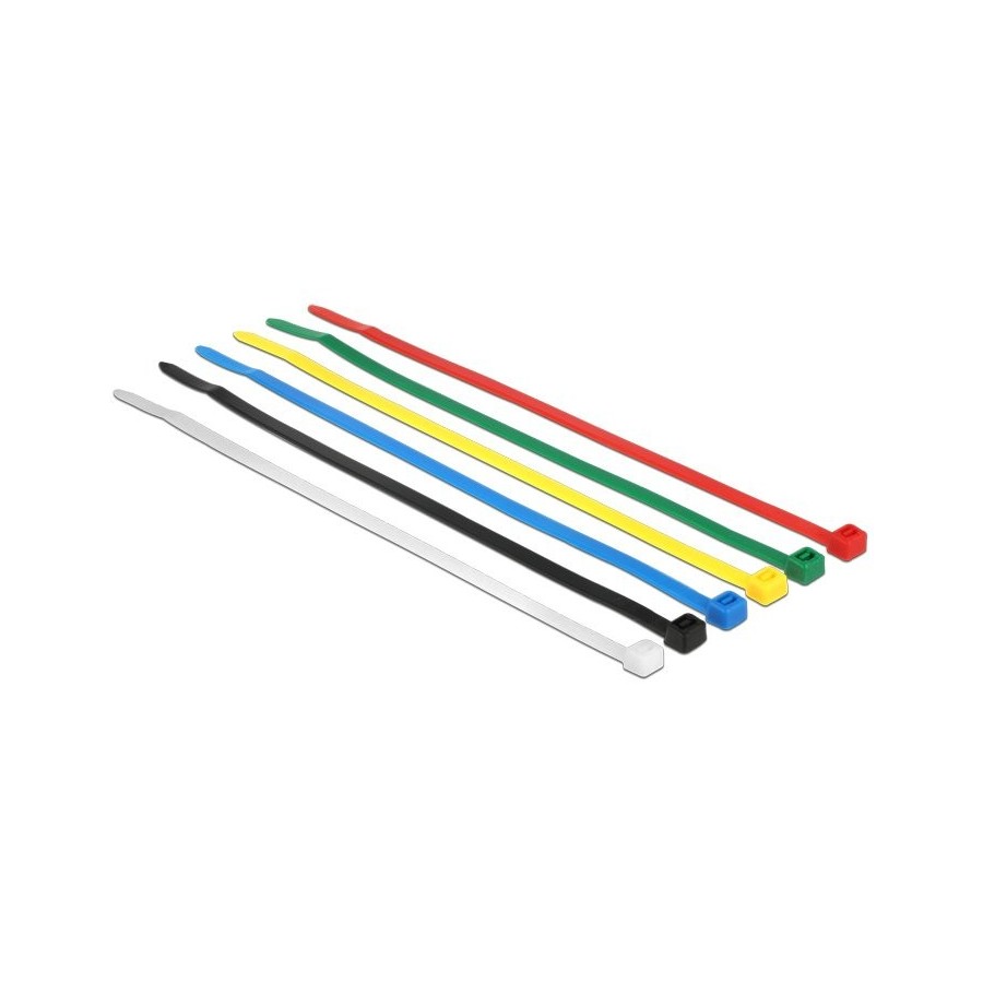 Delock 18626 presilla nylon 100 piezas negro, azul, verde, rojo, transparente, amarillo 200 pieza(s)