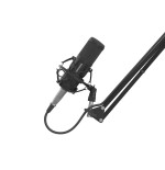 Microfono genesis radium 300 studio xlr con brazo filtro pop