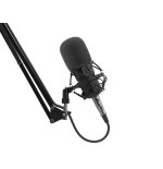 Microfono genesis radium 300 studio xlr con brazo filtro pop