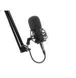 Microfono genesis radium 300 studio xlr con brazo filtro pop