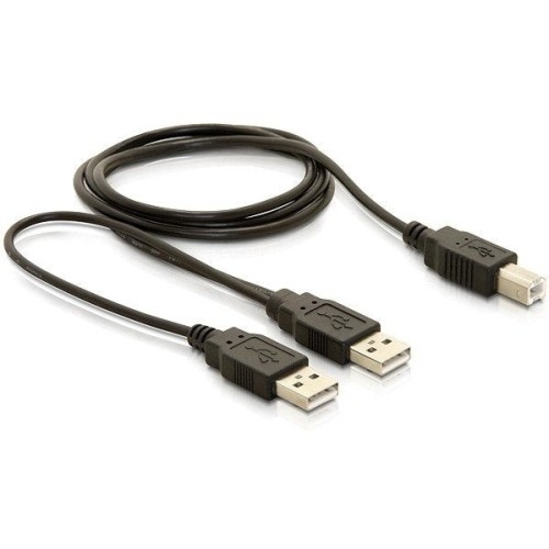 Delock cable usb 2.0-b  usb-a power + power/data