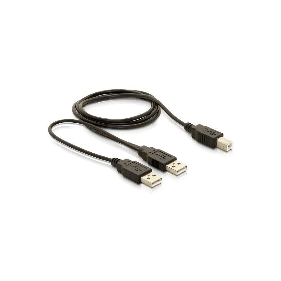 Delock cable usb 2.0-b  usb-a power + power/data