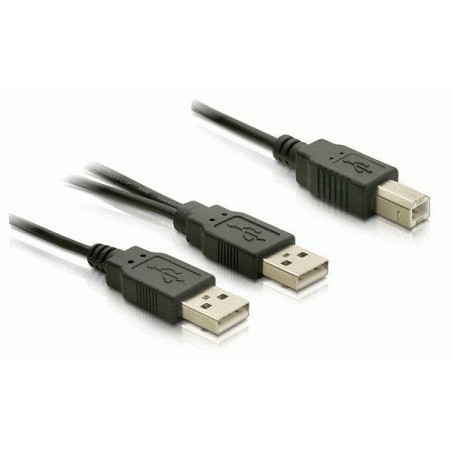 Delock cable usb 2.0-b  usb-a power + power/data