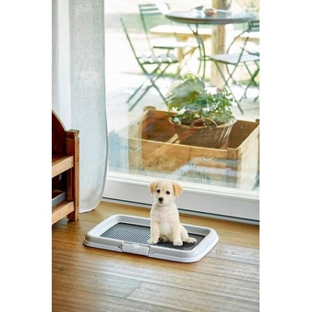 Entrenador de cachorros zolux 40 x 60 x 4 cm (474519)