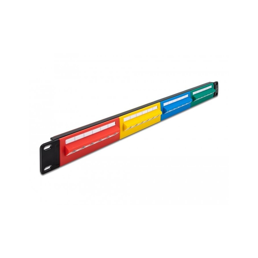 Delock 19" patchpanel 24 port cat.5e 1 he farbig