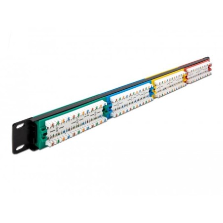 Delock 19" patchpanel 24 port cat.5e 1 he farbig