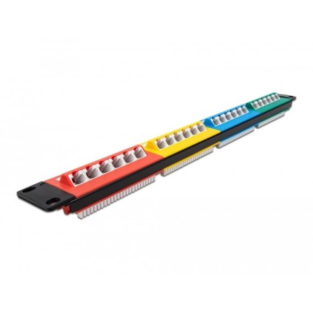 Delock 19" patchpanel 24 port cat.5e 1 he farbig