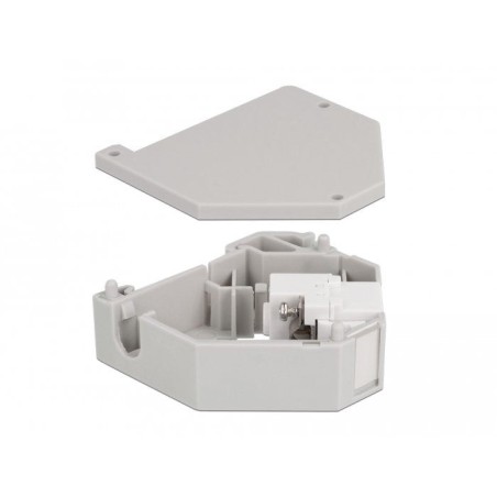 Delock adaptador de carril din con keystone iec hembra a bloque de terminales