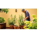 Bomba de presión bosch gardenpump 18v-2000 solo, sumergible / 06008c4203