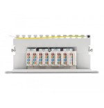 Delock panel de conexiones de 10" de 8 puertos cat.6a 1u gris