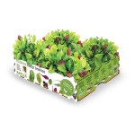Caja de ensaladas baby leaves batlle