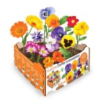 Caja de flores comestibles batlle