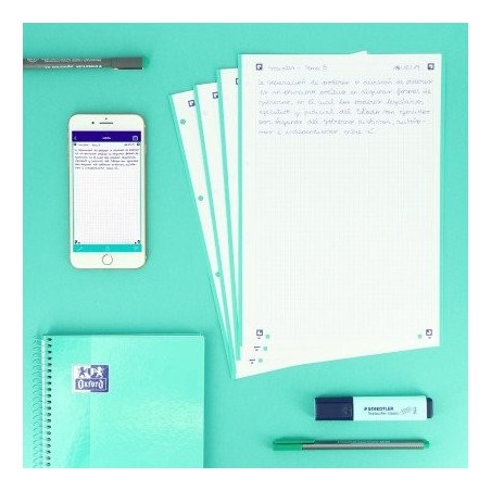 Oxford recambio classic 1 color 100h + 20h gratis a4 90gr 5x5mm 4/taladros banda verde menta