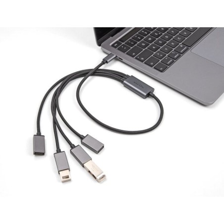 Delock 64210 hub 4-port usb  2.0 cable usb-c 60cm