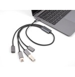 Delock 64210 hub 4-port usb  2.0 cable usb-c 60cm