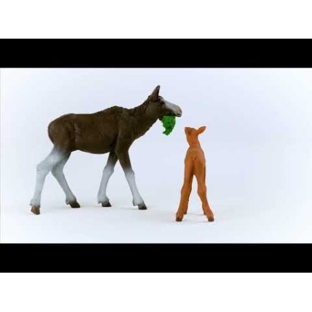 Figura schleich schleich wild life alce vaca con ternero 42629