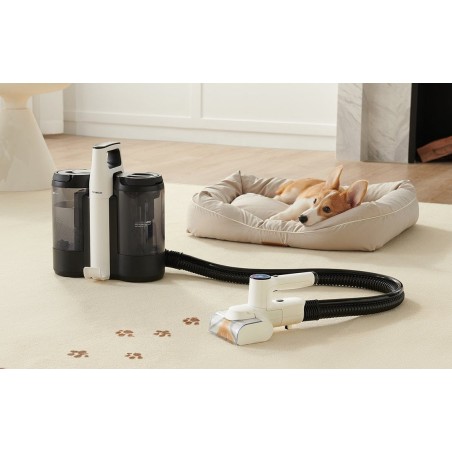 Aspiradora tineco carpet one spot essentials