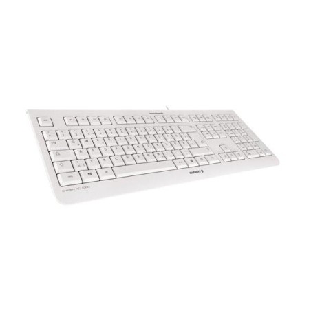 Teclado español cherry kc1000 gris claro usb jk-0800es-0