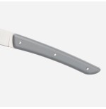 Berkel kco4sw11srgbl cuchillo de cocina acero inoxidable 4 pieza(s) cuchillo para carne
