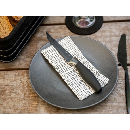 Cuchillo para carne otis, 4 uds. 55059100 wenko