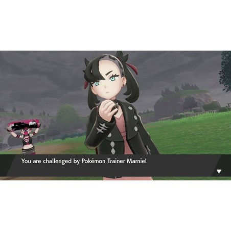 Espada pokémon de nintendo  juego de nintendo switch