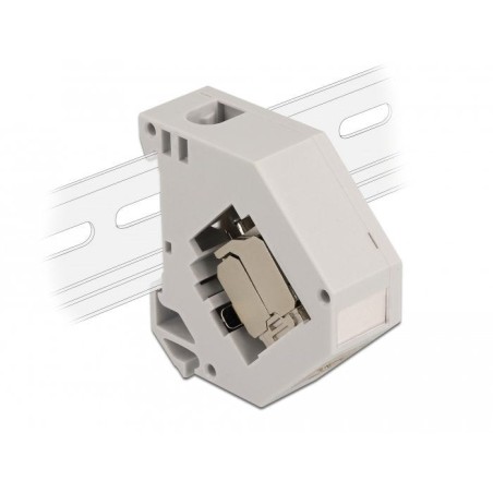 Delock 86014 adaptador de carril din con módulo keystone rj45 hembra cat.6a lsa
