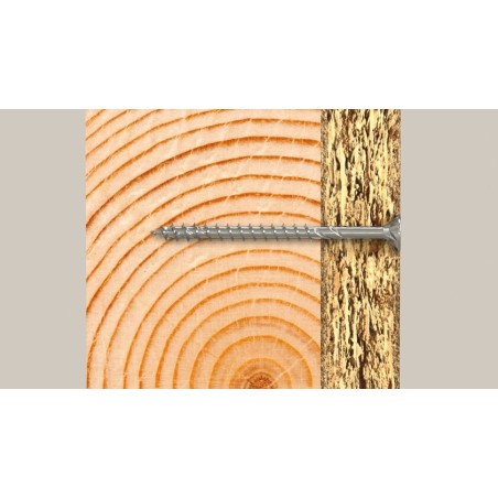Tornillo fischer 670044