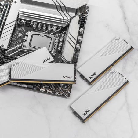 Memoria  adata dimm 16 gb ddr5-6000  ax5u6000c3016g-clawh