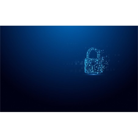Kingston ironkey vault privacy 50 256 gb, lápiz usb celeste/negro
