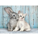 Puzzle gato y conejo 500pzs