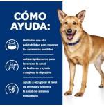 Alimento seco para perros  hill's pd canine digestive care i/d 4 kg