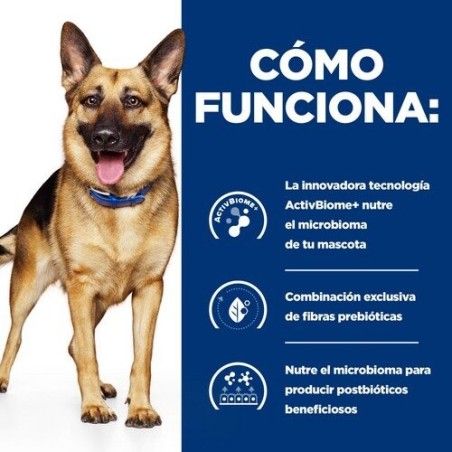 Alimento seco para perros hill's pd gastrointestinal biome  10 kg