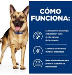 Alimento seco para perros hill's pd gastrointestinal biome  10 kg