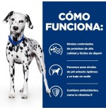 Alimento seco para perros hill's prescription diet urinary care canine u/d  10 kg