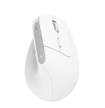 Ratón ergonómico inalámbrico por bluetooth trust bayo+ batería recargable hasta 2400 dpi blanco