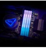 Memoria  adata dimm 32 gb ddr5-6000 (2x 16 gb)  ax5u6000c4816g-dtlabrbk