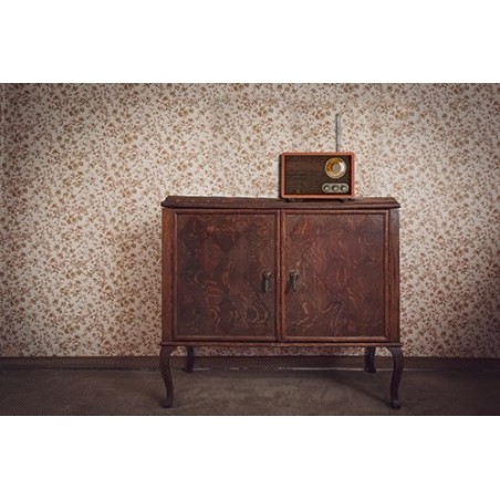 Radio adler ad 1171 retro  with bluetooth, brown