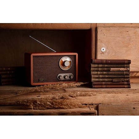 Radio adler ad 1171 retro  with bluetooth, brown