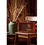 Radio adler ad 1171 retro  with bluetooth, brown