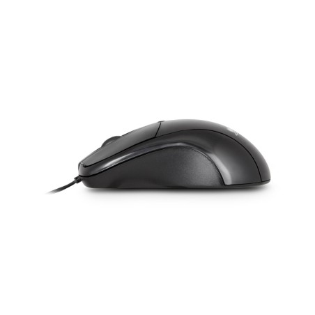 Raton usb 800dpi (bulk) perp ambidiestro - ergo conception