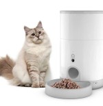 Comedero automático petoneer nutri mini feeder con cámara 2.6l