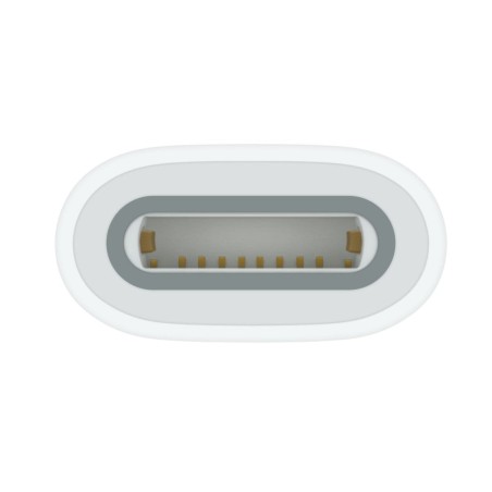 Adaptador usb apple, toma usb-c  toma apple pencil blanco mwml3zm/a