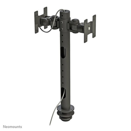 Soporte  neomounts de escritorio para monitor