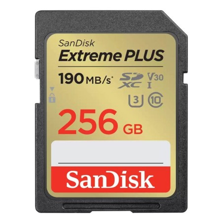 Memory sdxc 256gb uhs-1/sdsdxwv-256g-gncin sandisk