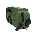 Radio thomson con linterna de emergencia verde y negra rt260