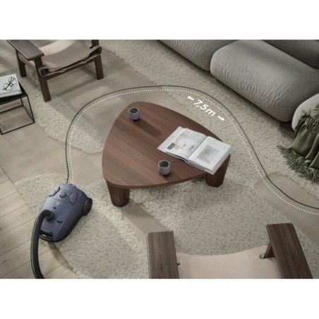 Aspiradora electrolux eb31c1db